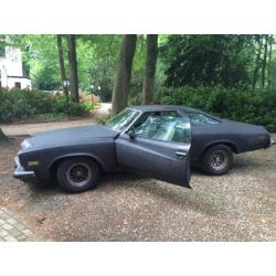 Buick Gran Sport Gran Sport 1974 Blauw