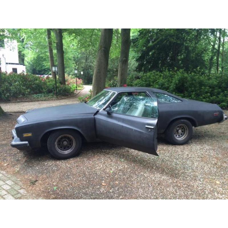 Buick Gran Sport Gran Sport 1974 Blauw