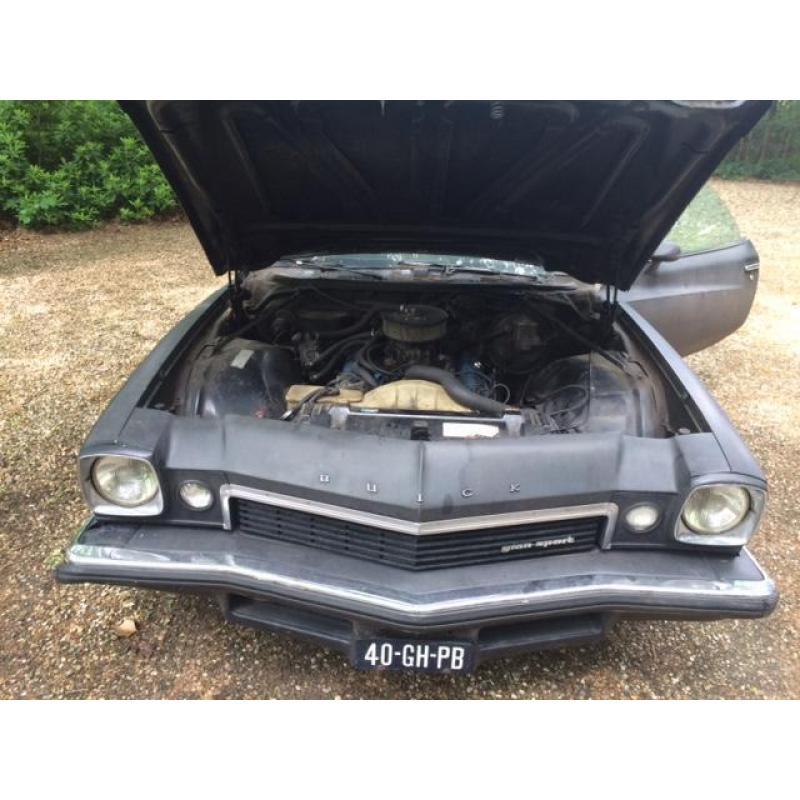 Buick Gran Sport Gran Sport 1974 Blauw