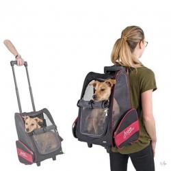 AniQare Trolley Axion