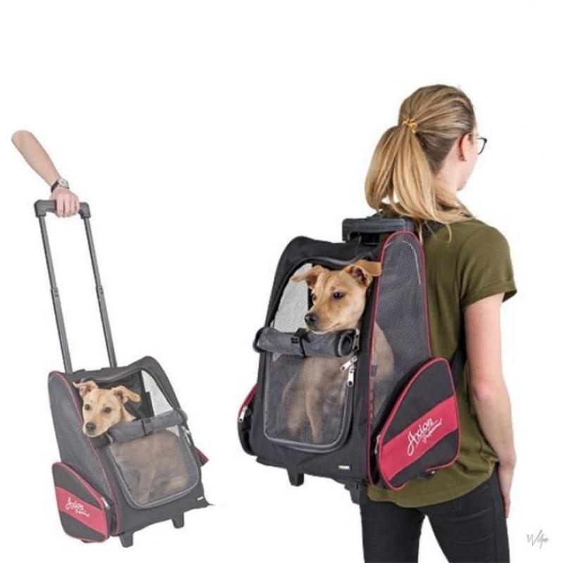 AniQare Trolley Axion