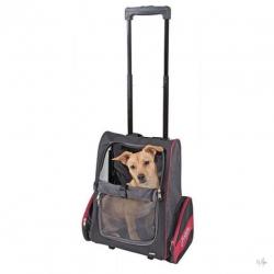 AniQare Trolley Axion