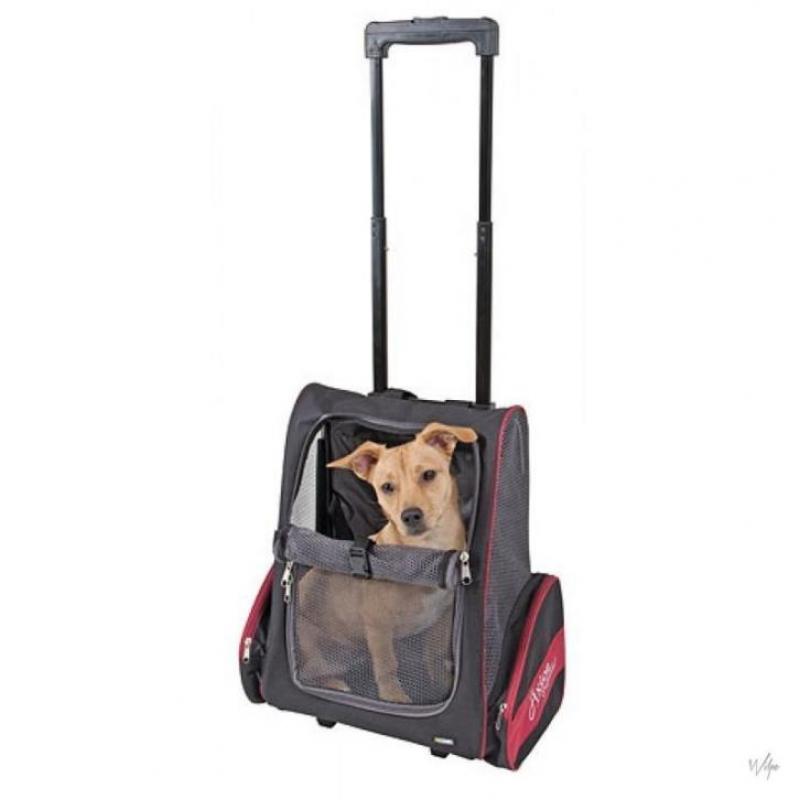 AniQare Trolley Axion