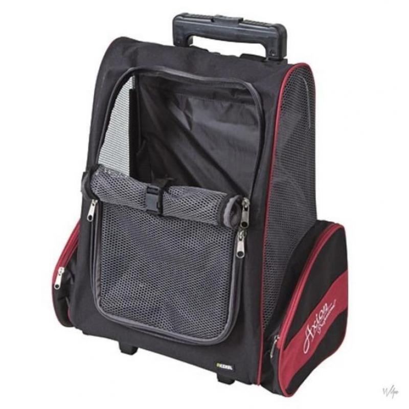 AniQare Trolley Axion
