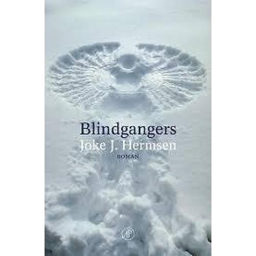 Joke J. Hermsen: Blindgangers