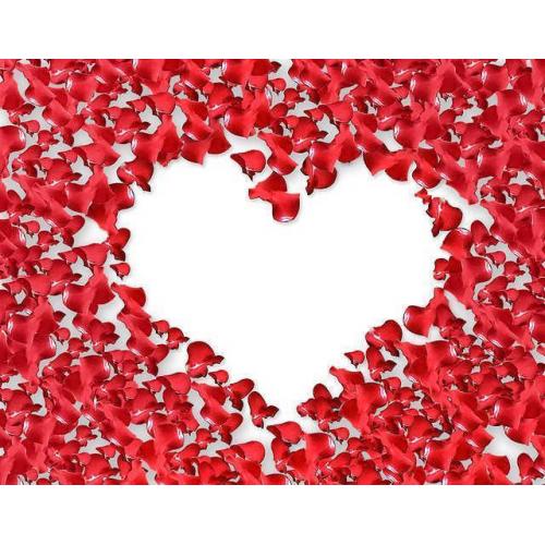 Welke datingsite past bij jou? Vergelijk het nu!