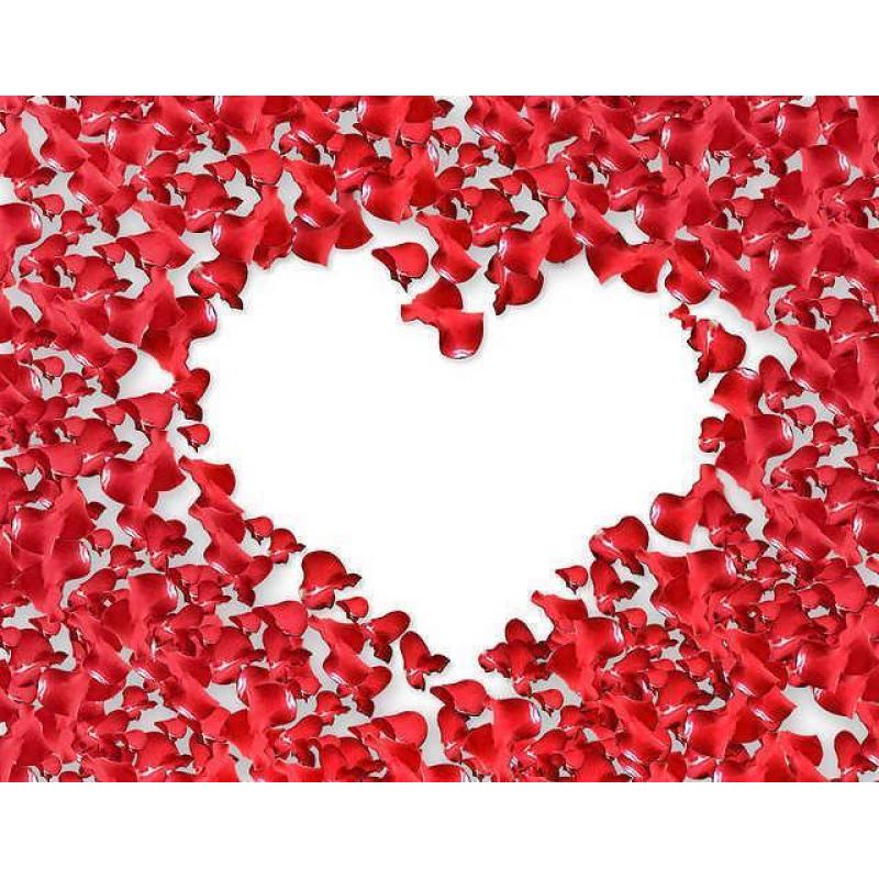 Welke datingsite past bij jou? Vergelijk het nu!