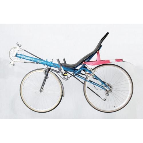 challenge ligfiets