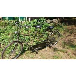 Mooie degelijke tandem