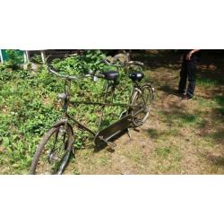 Mooie degelijke tandem