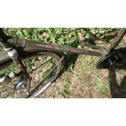 Mooie degelijke tandem