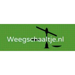 Digitaal Precisie Pocket Weegschaal 100 x 0,01 gram