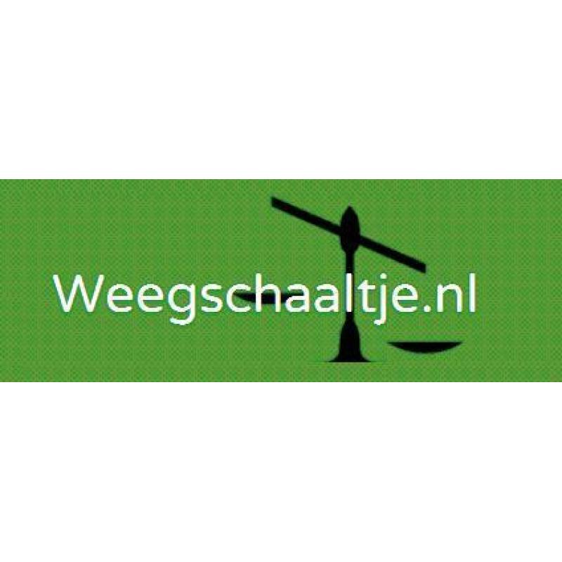 Digitaal Precisie Pocket Weegschaal 100 x 0,01 gram