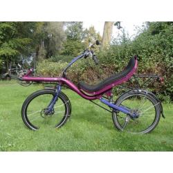 Challenge Mistral 24inch korenblauw/violet