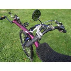 Challenge Mistral 24inch korenblauw/violet