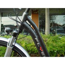 Elektrische RVF FLYER DLE Tandem X-lage, veilige instap v+a*