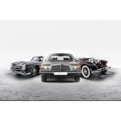 De veiling auto’s biedt u de ultieme oplossing!
