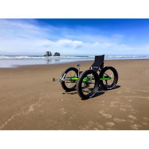 Trike Fat model 2016