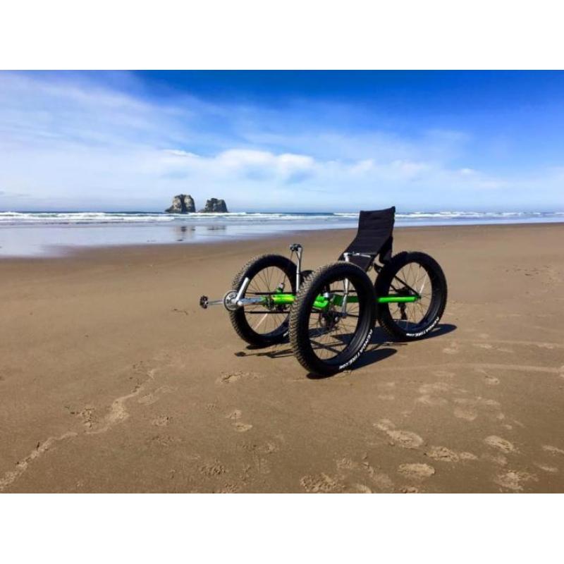Trike Fat model 2016
