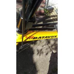 Batavus xxs 4 all ligfiets