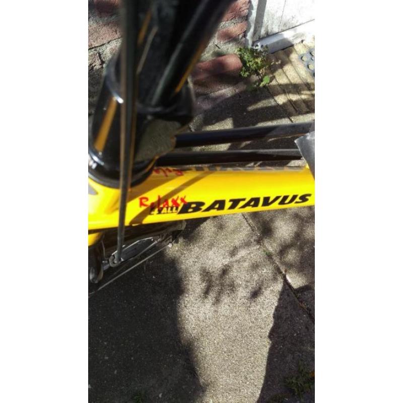 Batavus xxs 4 all ligfiets