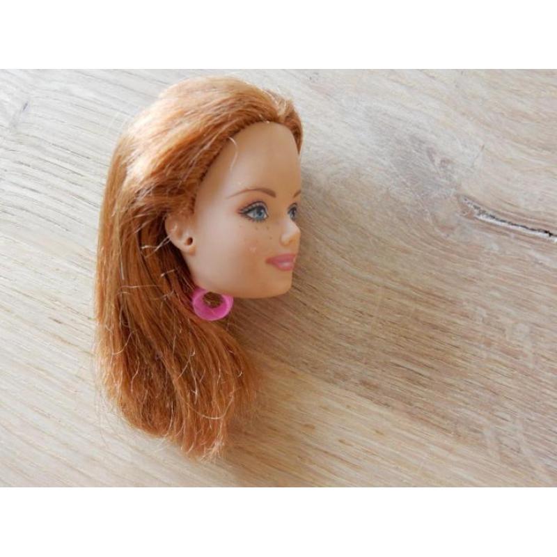 barbie 2 hoofdjesmidge en blond barbie