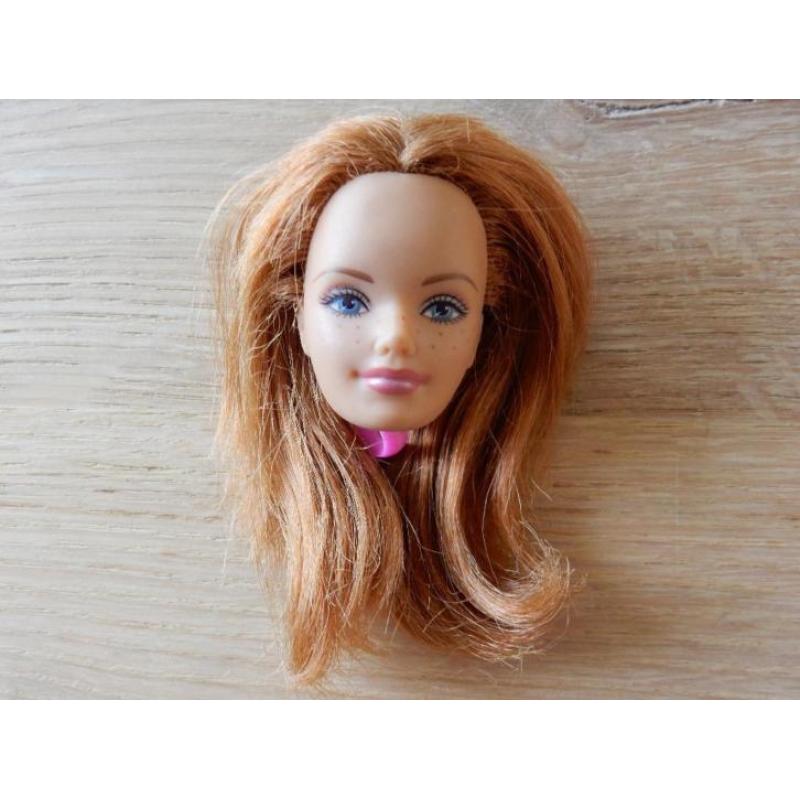 barbie 2 hoofdjesmidge en blond barbie