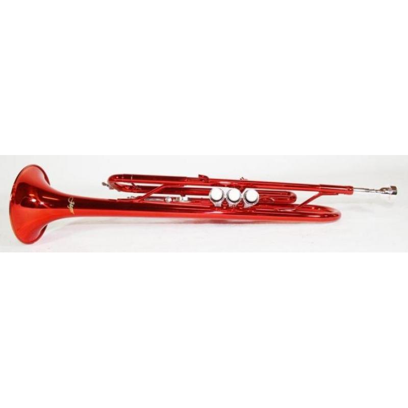 Trompet Rood of Zwart