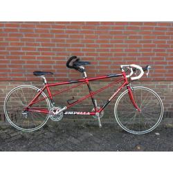 Empella race tandem