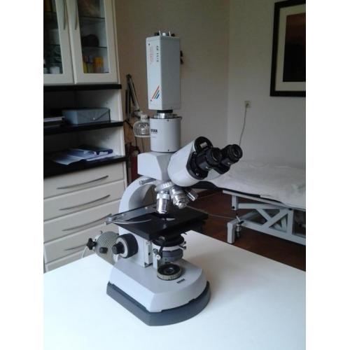 Carl Zeiss Standard 16? microscoop