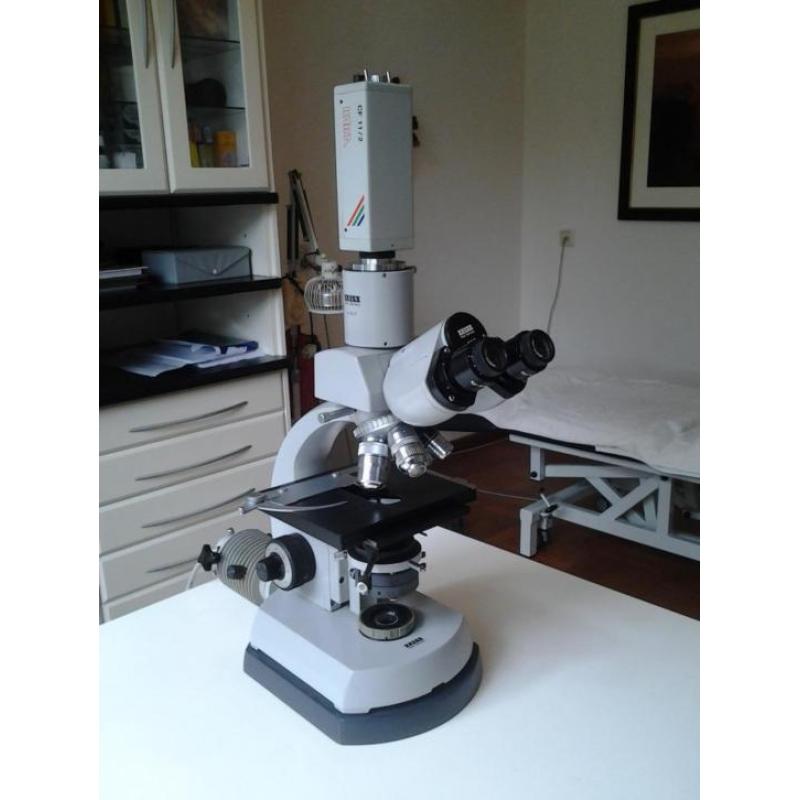 Carl Zeiss Standard 16? microscoop