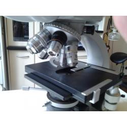 Carl Zeiss Standard 16? microscoop