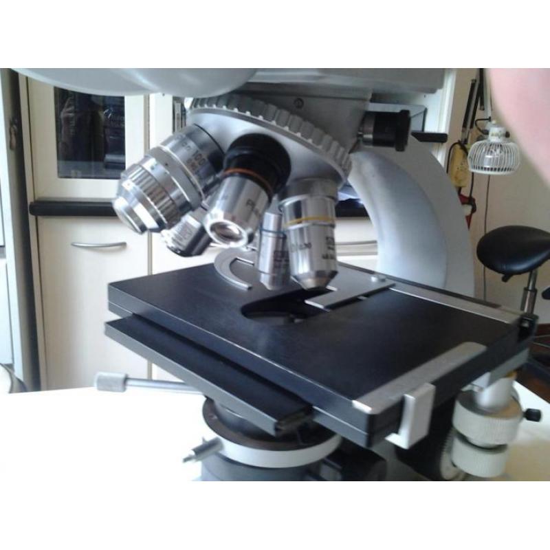 Carl Zeiss Standard 16? microscoop