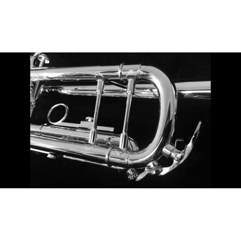 Nieuwe Bach TR501s trompet