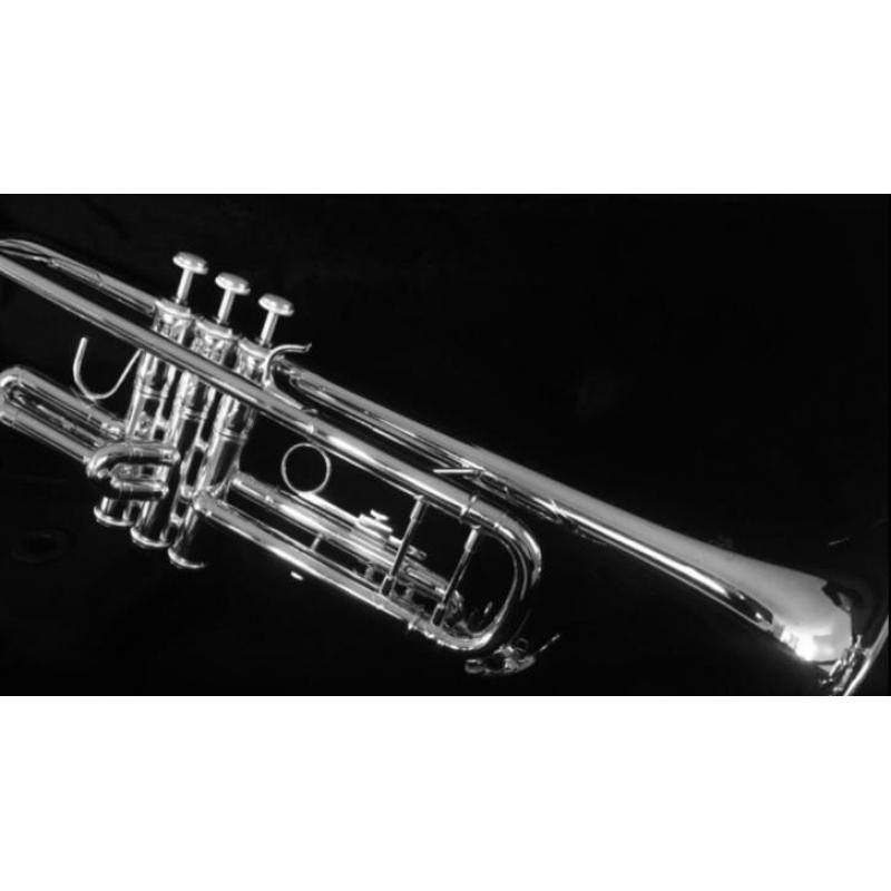 Nieuwe Bach TR501s trompet
