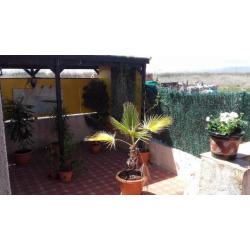 Schitterende finca/villa aan de Costa Blanca!