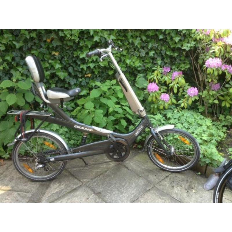 fiets Giant Revive