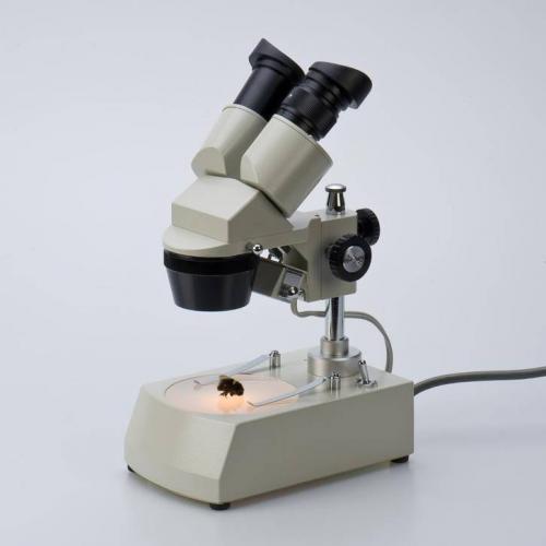 EUROMEX stereomicroscoop voor reparatie smd iphones etc.