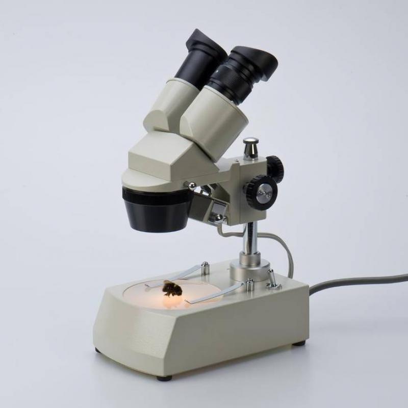 EUROMEX stereomicroscoop voor reparatie smd iphones etc.