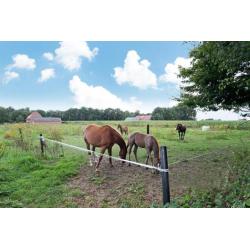 vrijstaand landhuis in het natuurgebied vechtdal Grensgebied