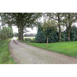 vrijstaand landhuis in het natuurgebied vechtdal Grensgebied