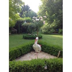 zeer groot huis met ommuurde tuin