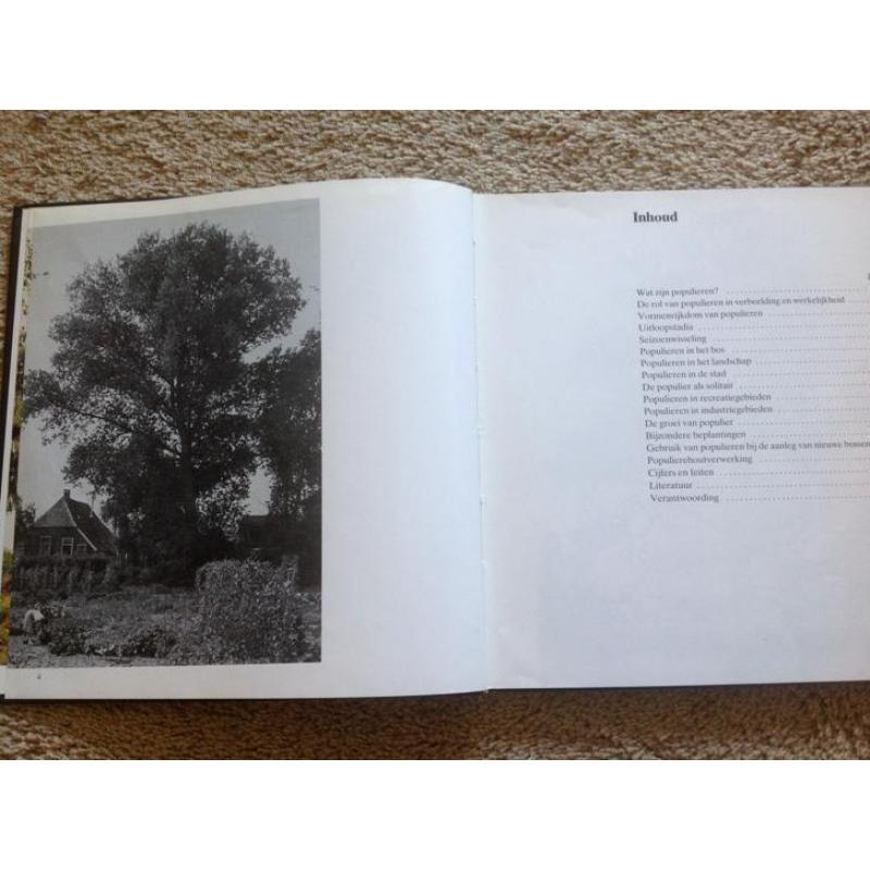 Fotoboek: Populieren in bos, stad en landschap.