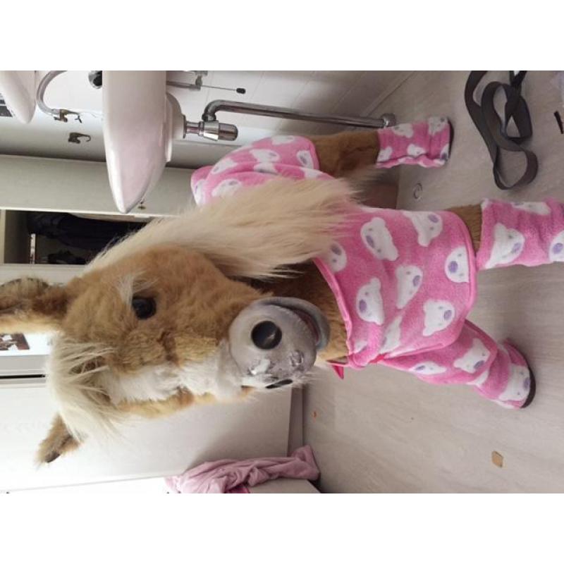Furreal friends Butterscotch pony/paard