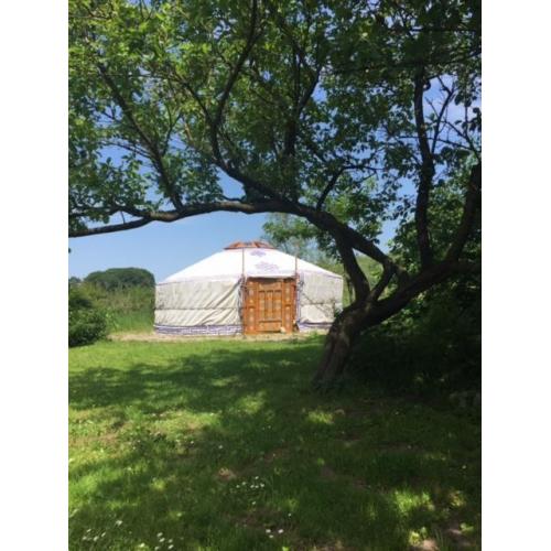 Te koop: Origineel beschilderde 5-muurs mongoolse Yurt Ger