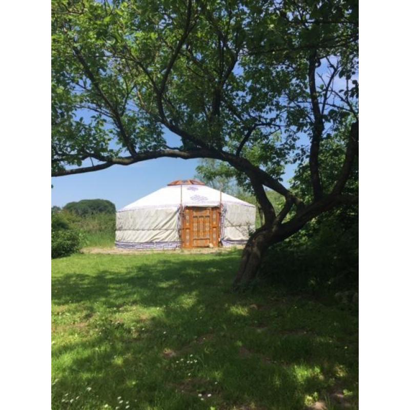 Te koop: Origineel beschilderde 5-muurs mongoolse Yurt Ger