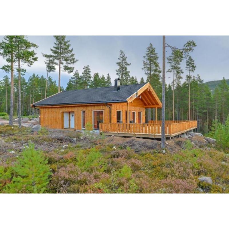 te koop prachtige vakantiewoning in telemark noorwegen
