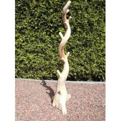(434) KAPSTOKBOOM - Koffie boom - 2m. hoog