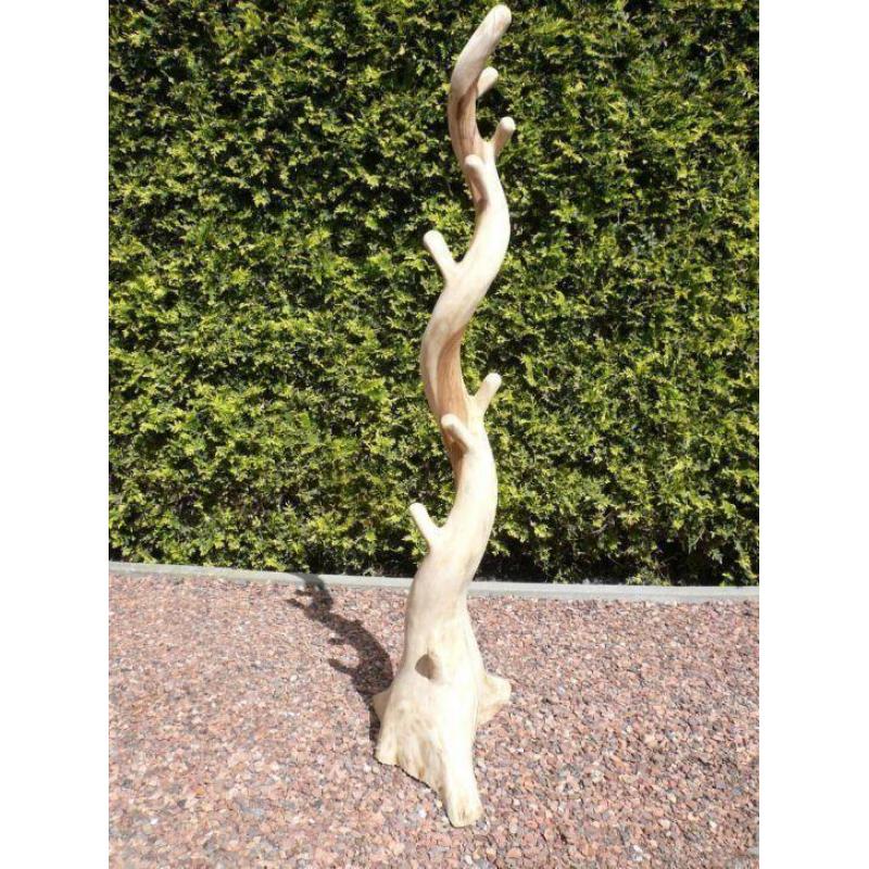 (434) KAPSTOKBOOM - Koffie boom - 2m. hoog