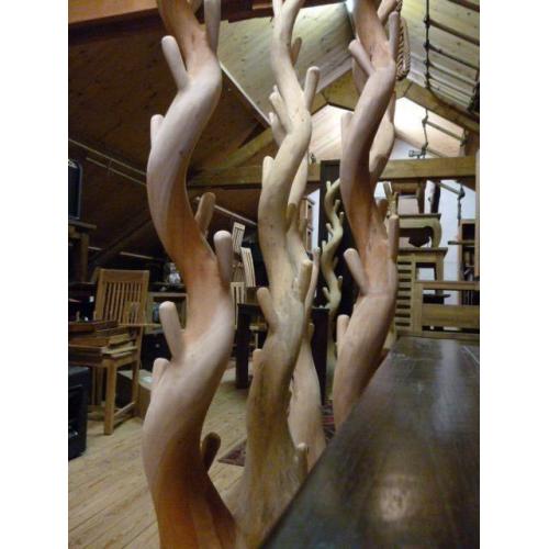 (434) KAPSTOKBOOM - Koffie boom - 2m. hoog